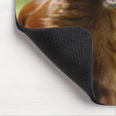 Irish Setter Muismat (Hoek)