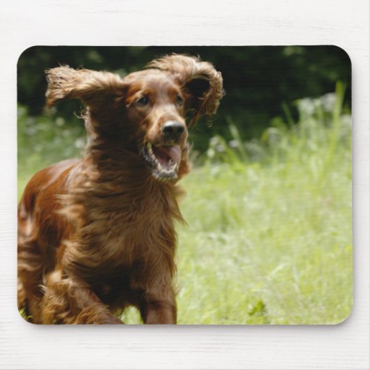 Irish Setter Muismat (Voorkant)