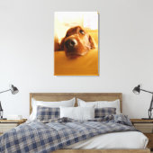 Irish Setter op sofa Canvas Afdruk (Insitu (Slaapkamer))