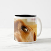 Irish Setter op sofa Tweekleurige Koffiemok (Voorkant rechts)