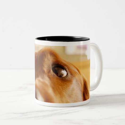 Irish Setter op sofa Tweekleurige Koffiemok (Voorkant rechts)