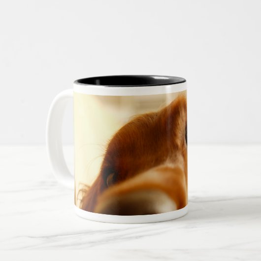 Irish Setter op sofa Tweekleurige Koffiemok (Voorkant links)