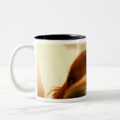 Irish Setter op sofa Tweekleurige Koffiemok (Links)