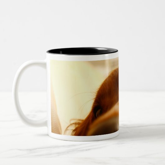 Irish Setter op sofa Tweekleurige Koffiemok (Links)