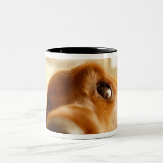 Irish Setter op sofa Tweekleurige Koffiemok (Center)