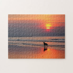 Irish Setter op Sunset door het Ierse Zee Puzzle Legpuzzel