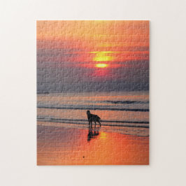 Irish Setter op Sunset on Irish Zee Puzzle Legpuzzel