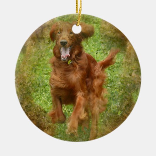 Irish Setter Ornament (Voorkant)