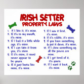 IRISH SETTER PL2 POSTER (Voorkant)