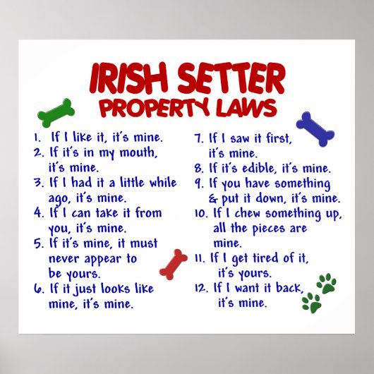 IRISH SETTER PL2 POSTER (Voorkant)