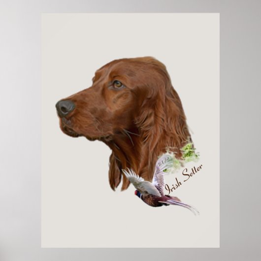 Irish Setter Poster (Voorkant)