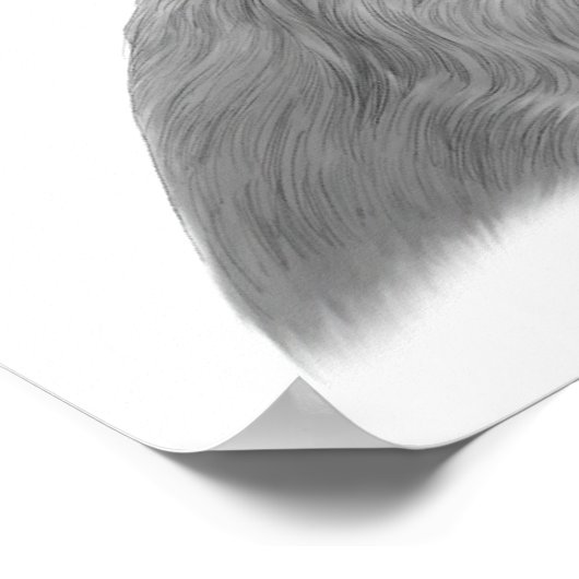 Irish Setter Poster (Hoek)