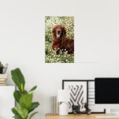 Irish Setter Poster (Thuiskantoor)