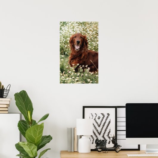 Irish Setter Poster (Thuiskantoor)