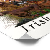 Irish Setter Poster (Hoek)