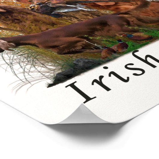 Irish Setter Poster (Hoek)