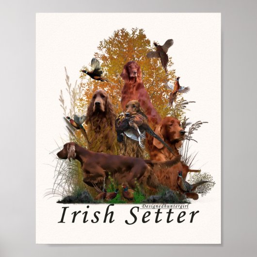 Irish Setter Poster (Voorkant)