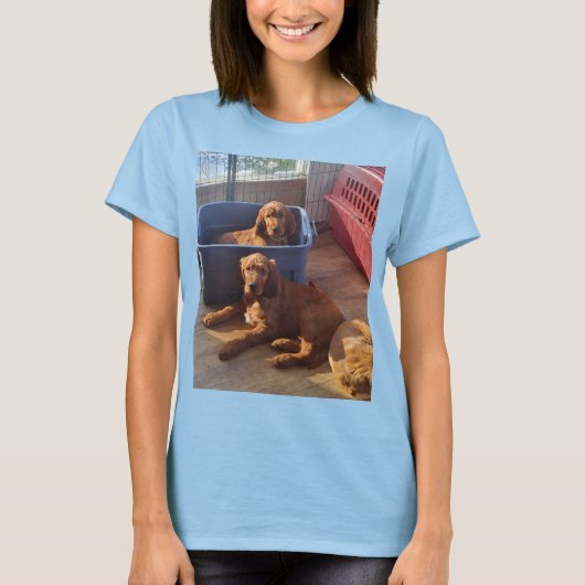 Irish Setter Puppies T-shirt (Voorkant)