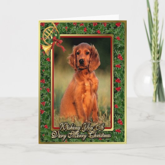Irish Setter Puppy Dog Blank Christmas Kaart (Voorkant)