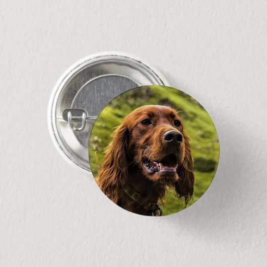 Irish Setter Ronde Button 3,2 Cm (Voorkant /achterkant)