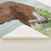 Irish Setter Sherpa Deken (3/4)
