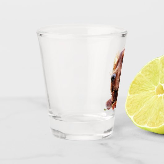 Irish Setter Shot Glas (Links)