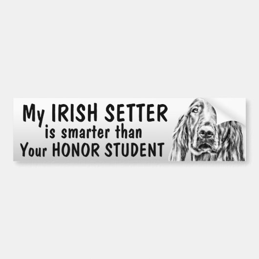 Irish Setter - Smarter dan eremstudent - grappig Bumpersticker (Voorkant)