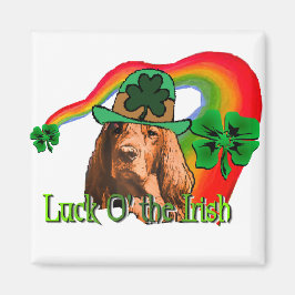 Irish Setter St. Patricks Magneet