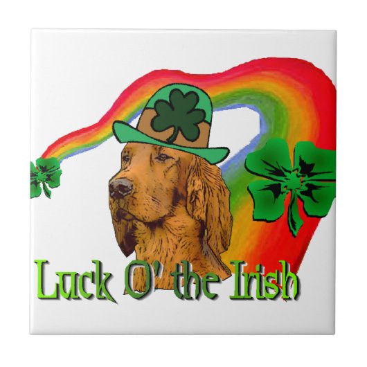 Irish Setter St Patricks Tegeltje (Voorkant)