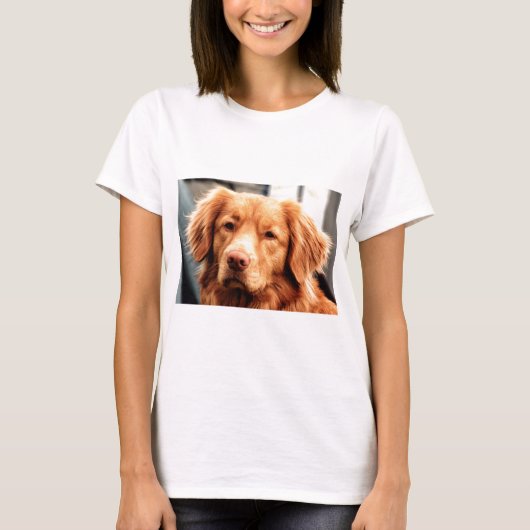 Irish Setter T-shirt (Voorkant)