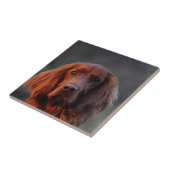 Irish Setter Tegeltje (Zijkant)