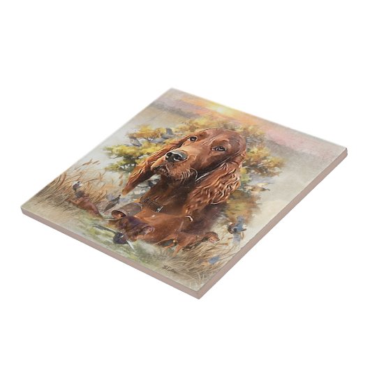 Irish Setter Tegeltje (Zijkant)