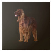 Irish Setter Tegeltje (Voorkant)