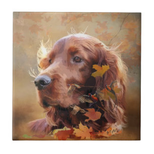 Irish Setter Tegeltje