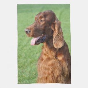 Irish Setter Theedoek