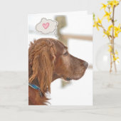 Irish Setter Thinking of You Kaart (Gele Bloem)