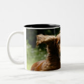 Irish Setter Tweekleurige Koffiemok (Links)