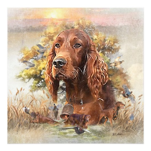 Irish Setter - Ultimate Upland Bird Dog Foto Afdruk (Voorkant)