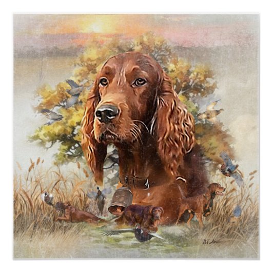 Irish Setter - Ultimate Upland Bird Dog Perfect Poster (Voorkant)