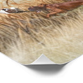 Irish Setter - Ultimate Upland Bird Dog Perfect Poster (Hoek)