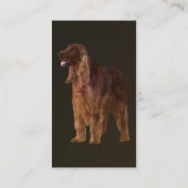 Irish Setter Visitekaartje (Achterkant)
