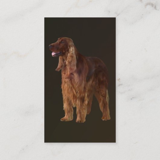 Irish Setter Visitekaartje (Achterkant)
