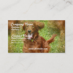 Irish Setter Visitekaartje