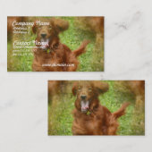 Irish Setter Visitekaartje (Voorkant / Achterkant)