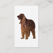 Irish Setter Visitekaartje (Achterkant)