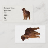 Irish Setter Visitekaartje (Voorkant / Achterkant)