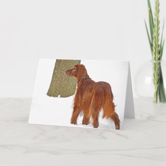 Irish Setter winter Birthday Kaart (Voorkant)