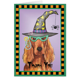 Irish Setter Witch Hartelijk dank