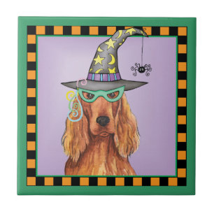Irish Setter Witch Tegeltje