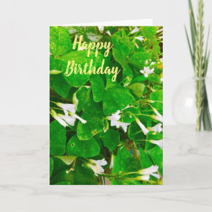 Irish Shamrock Birthday Greetings Card Kaart